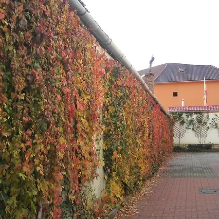 Bed & Breakfast Casa Roth 3*